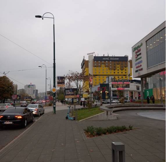 bos4.JPG